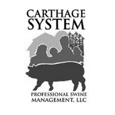 Carthage System Logo